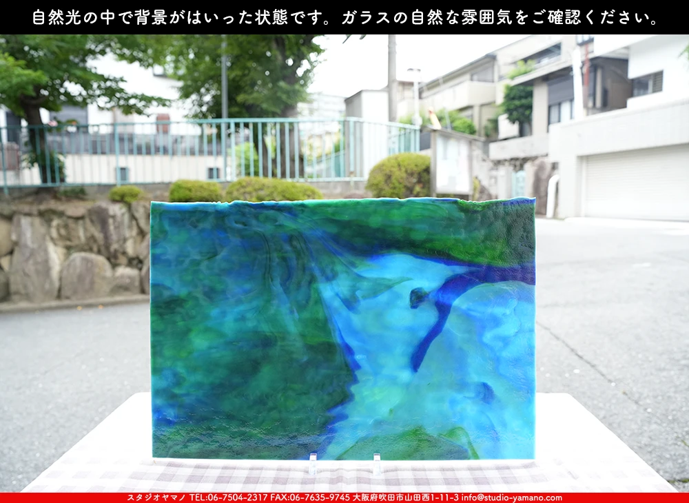 ヤカゲニー_UG_6664-RG_A_702202500006_写真の1/2が基本サイズ_30cm