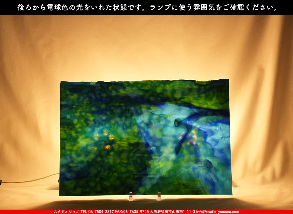 ヤカゲニー_UG_6664-RG_A_702202500006_写真の1/2が基本サイズ_30cm