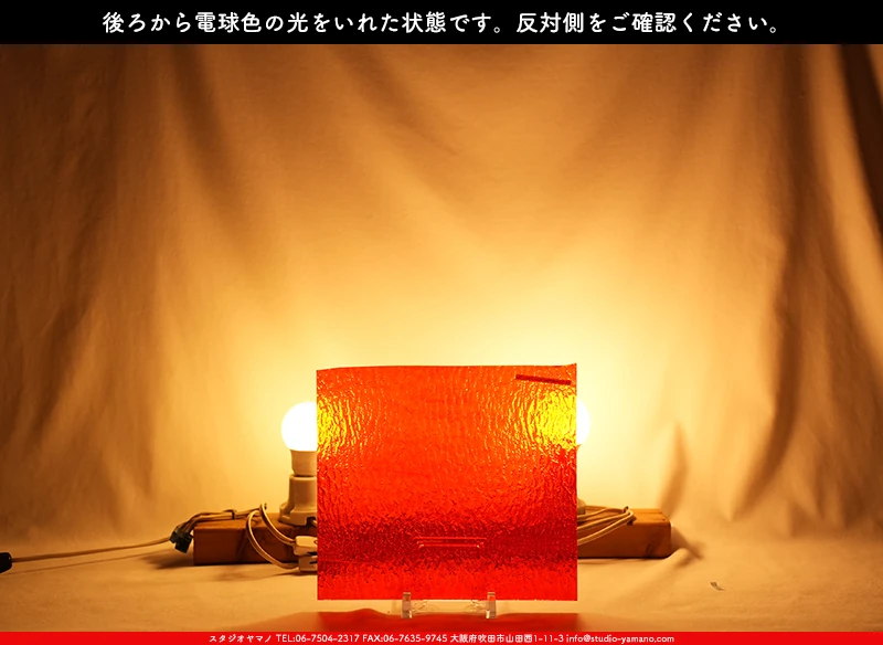 ���ƥ�ɥ��饹����Ź�Υ���������ޥΤ����䤹�륳����K_257LL G��734202300262�ˤ��������ŵ忧�θ��򤤤줿���֤�ȿ���̤򻣱Ƥ����̿�