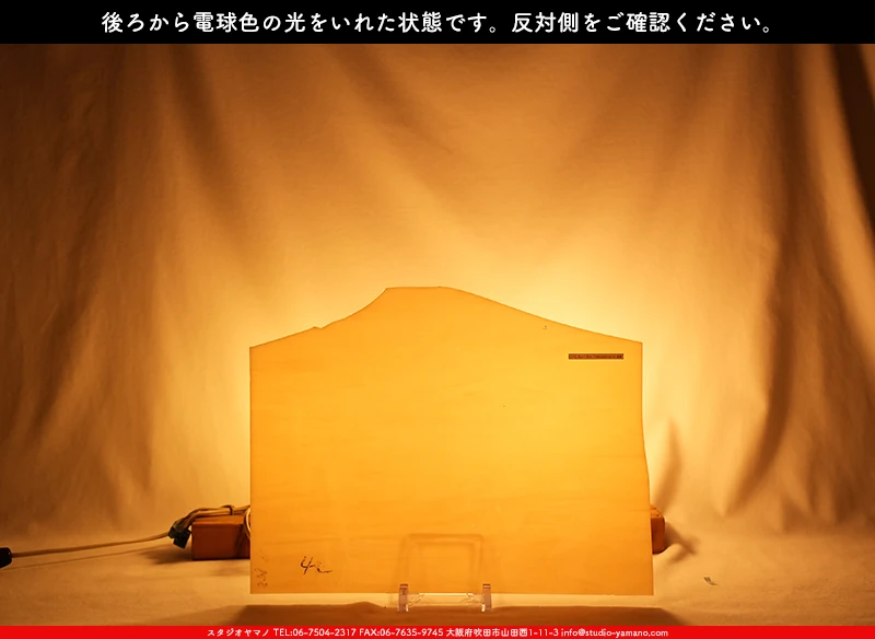 ���ƥ�ɥ��饹����Ź�Υ���������ޥΤ����䤹�륳����K_231D��734202300264�ˤ��������ŵ忧�θ��򤤤줿���֤�ȿ���̤򻣱Ƥ����̿�