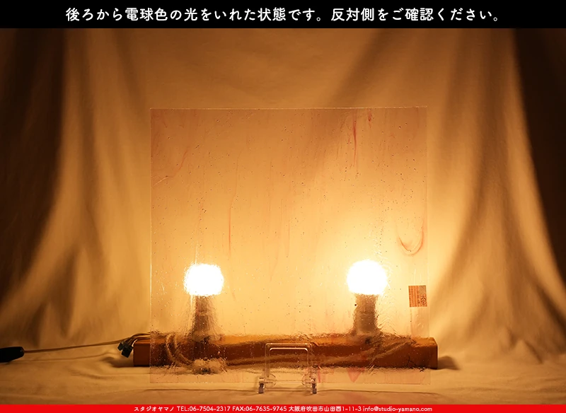 ���ƥ�ɥ��饹����Ź�Υ���������ޥΤ����䤹�륳����K_52LL��734202300341�ˤ��������ŵ忧�θ��򤤤줿���֤�ȿ���̤򻣱Ƥ����̿�