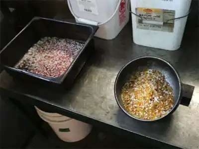 ステンドグラス,ガラス,フリモント 